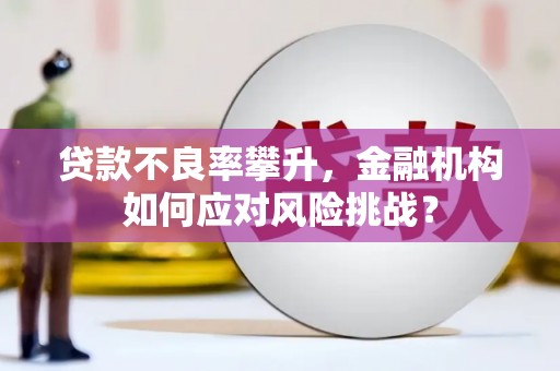 宁江贷款不良率攀升，金融机构如何应对风险挑战？