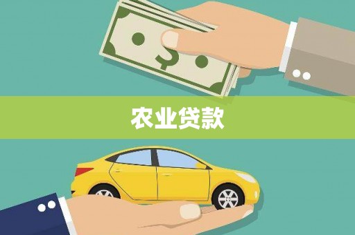 宁江农业贷款