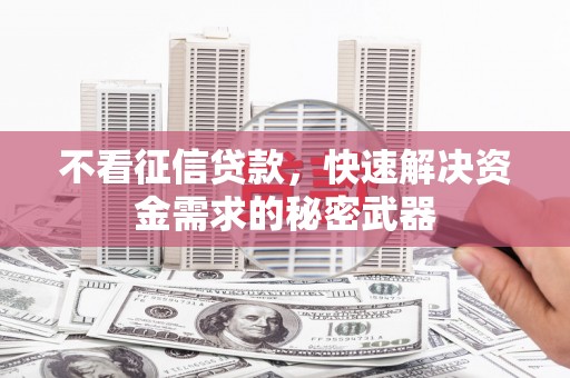 宁江不看征信贷款，快速解决资金需求的秘密武器