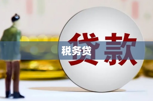 宁江税务贷