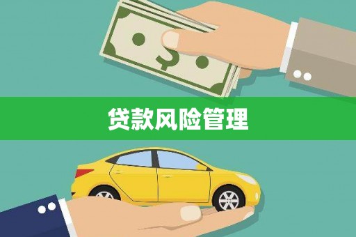 宁江贷款风险管理
