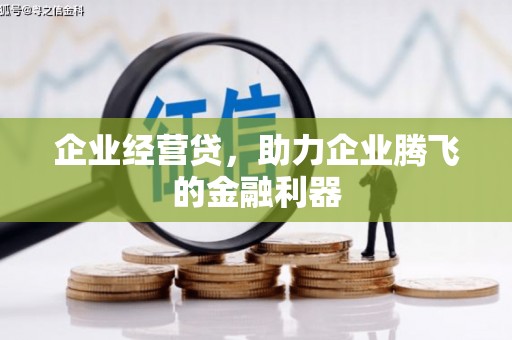 宁江企业经营贷，助力企业腾飞的金融利器