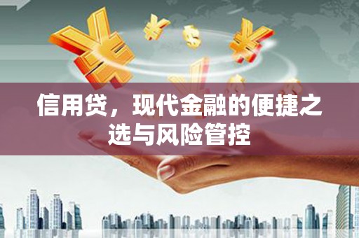 宁江信用贷，现代金融的便捷之选与风险管控