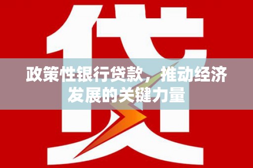 宁江政策性银行贷款，推动经济发展的关键力量