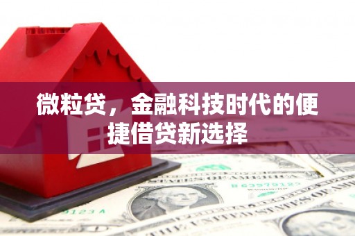 宁江微粒贷，金融科技时代的便捷借贷新选择