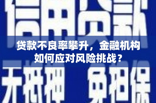 宁江贷款不良率攀升，金融机构如何应对风险挑战？