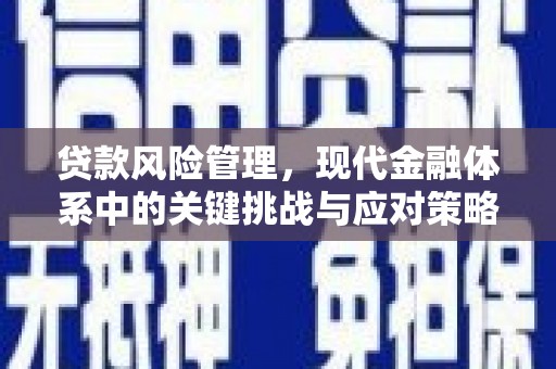 宁江贷款风险管理，现代金融体系中的关键挑战与应对策略