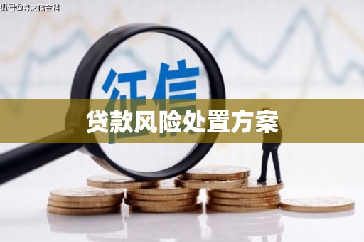 宁江贷款风险处置方案