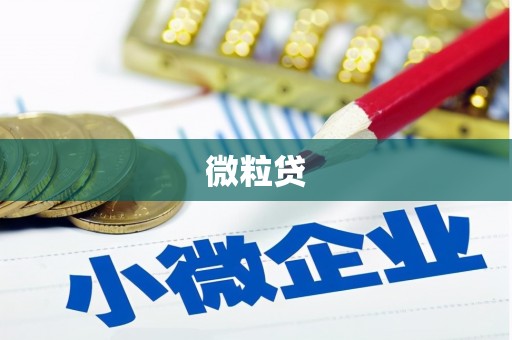 宁江微粒贷