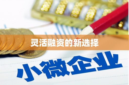 宁江灵活融资的新选择