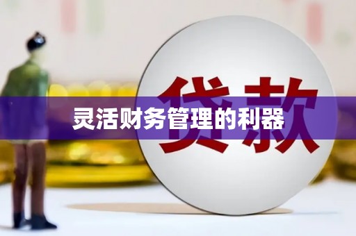 宁江灵活财务管理的利器