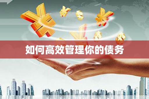 宁江如何高效管理你的债务