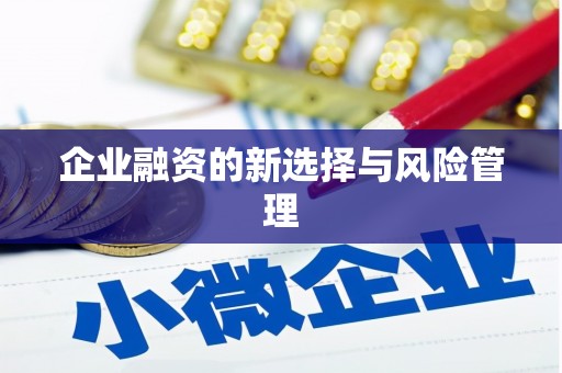 宁江企业融资的新选择与风险管理