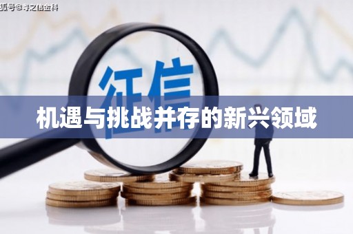 宁江机遇与挑战并存的新兴领域