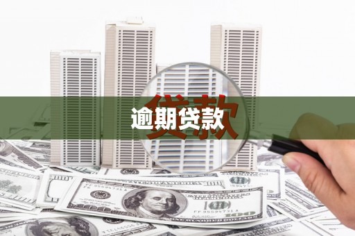 宁江逾期贷款
